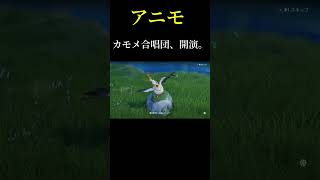 【アニモ】カモメ合唱団 #shorts #shortvideo #カモメ