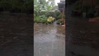 Download lagu di kampung musim hujan mp3