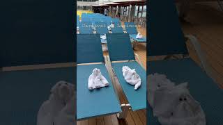 Cute towel animals on Carnival Luminosa π³οΈ #cruise #travel #shorts