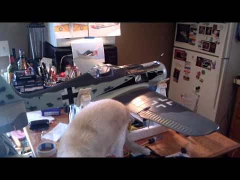 New Focke-Wulf Fw 190