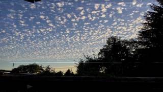 nothing,nowhere – hopes up (Slowed Down)