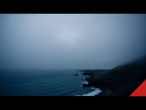 Electric Mantis - FACED