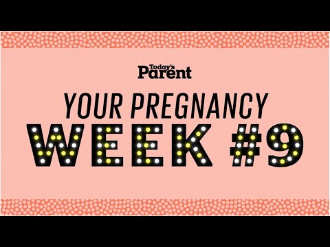 Your pregnancy: 9 weeks