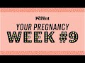 Your Pregnancy 9 Weeks