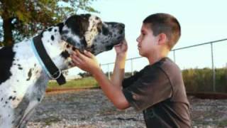 AW#143      (GO TO THE WOODS)