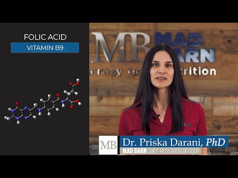 Folic Acid (Vitamin B9) For Horses - Equine Nutrition