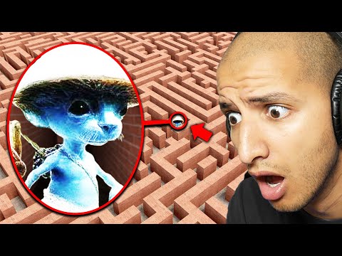 DONT ENTER SMURF CAT MAZE... (Scary)