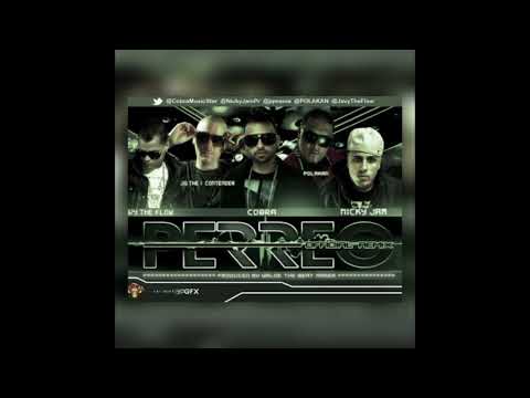 Nicky Jam ft. Cobra, JQ, Javy the Flow, Polakan - Perreo (Remix)