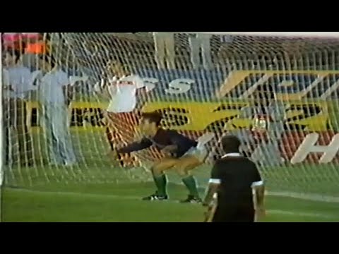 The day Gaucho shone in goal - Flamengo vs Palmeiras (1988)