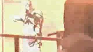 Ani Difranco - Superhero