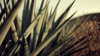 preview picture of video 'How It's Made - Tequila Arette'