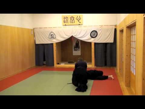 Video 2
