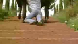 testament - electric crown