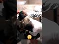 Kai And NLE Pay Teanna Trump For