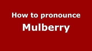 How to pronounce Mulberry