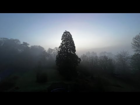 Fear Seeding and Matrix Management - Friday Ascension Update.MOV