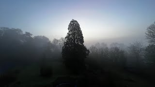 Fear Seeding and Matrix Management