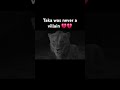 Trendingshorts Youtubeshorts Lionking Mufasa Disney Sad Trending Shorts Shortsfeed Movie