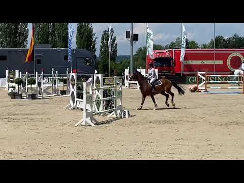 CASCALLO B (7 yo Cascadello I) 28.06.20 Ising - 2-Phases 135 cm