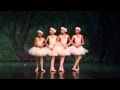 Lívia Faber Ballet Barbie E As Sapatilhas Mágicas Lago Dos Cisnes