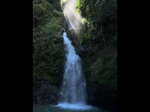 Cascada Cara de Indio, Huabi Alto, Gualaquiza. #MoronaSantiago #nature #fyp