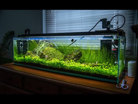 MY WEEKLY MAINTENANCE ON THE IWAGUMI