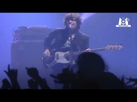 B.B Brunes au Printemps de Bourges???? // Extrait archives M6 Media Bank