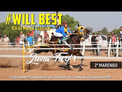 HIP. "EL QUEBRACHAL" EN CHAMICAL L.R. 29/09/2019 - WILL BEST Y MARENGO