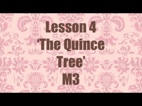 Lição 4 da 8ª série - A árvore do marmelo