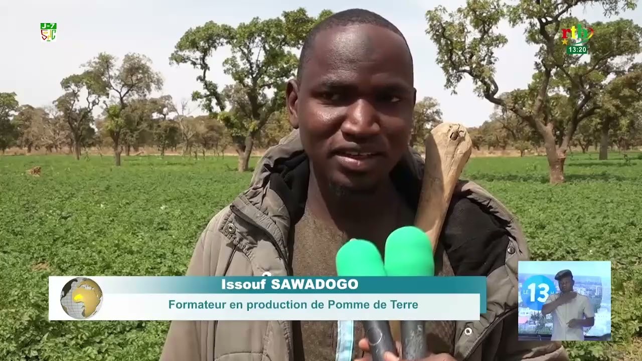 Résilience  à Pirgou: 26 femmes déplacées internes initiées à la production de la pomme de terre