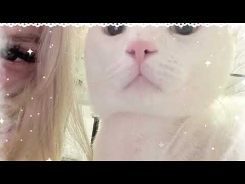nasıl kalalım ayrı ? (yakın arkadaş subliminal)