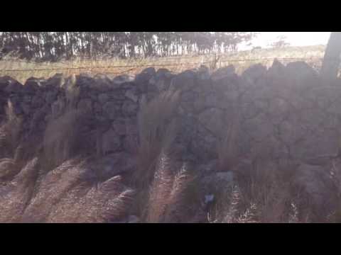 Dry stone walls of the western plains
