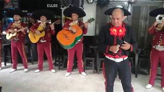 Video de Mariachi Guadalajara Armenia
