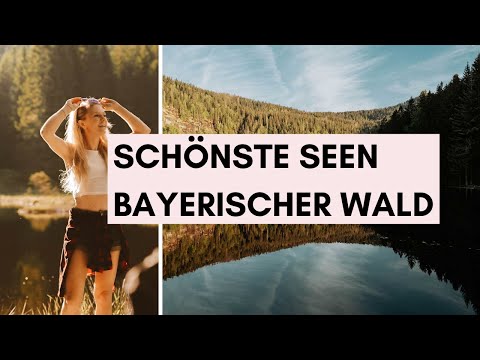 Schönste Seen und Badeseen Bayerischer Wald - Wandern und Baden