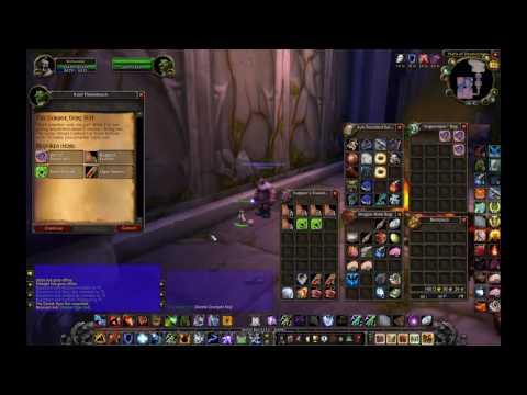 Insane in the Membrane narrated Guide - Steamwheedle Cartel