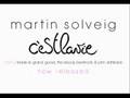 Martin Solveig - C'est La Vie (Fedde Le Grand ...