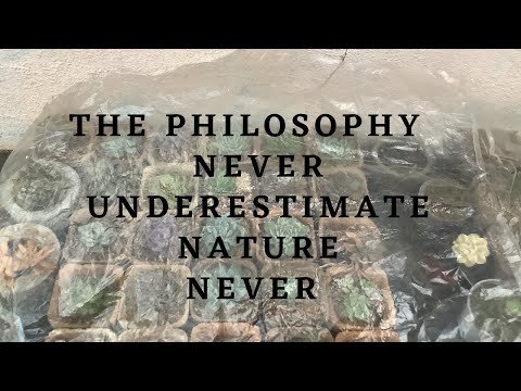 || THE PHILOSOPHY NEVER UNDERESTIMATE NATURE ….||