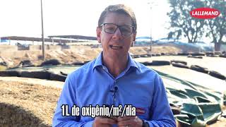 Confecção e manejo de silagens: observando os sinais do silo - Rafael Amaral - Gerente de Produtos