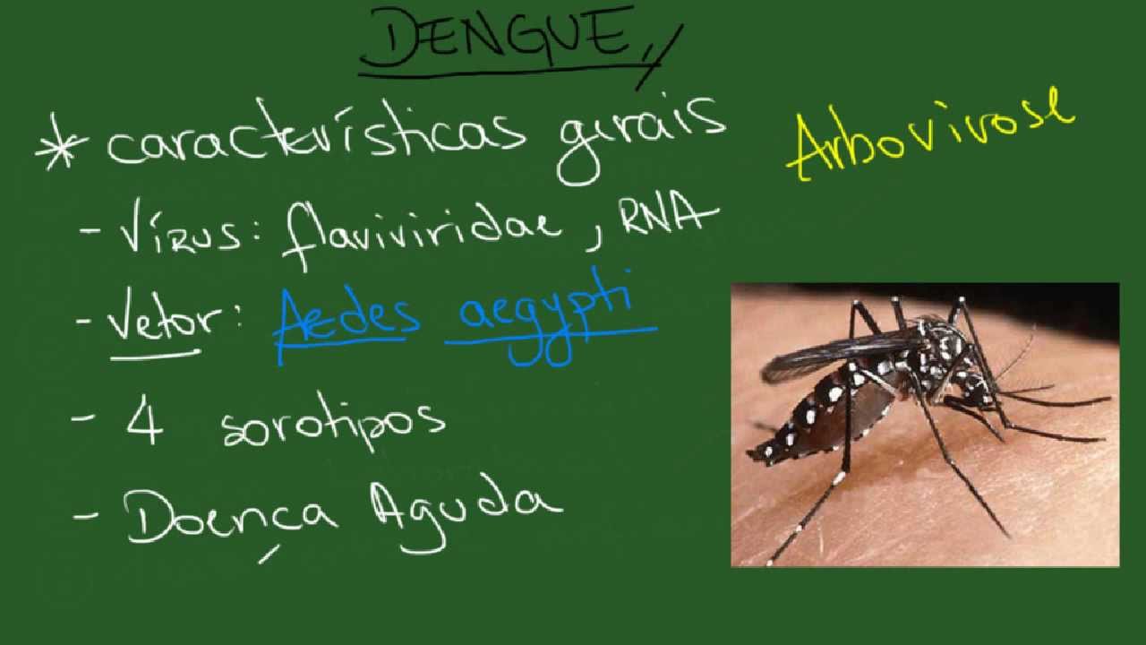 Dengue - Resumo - Infectologia