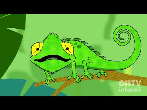 Camaleón y las naturales ciencias - Temporada completa | videos para niños sin interrupción