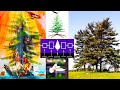 Tree Of Peace: An Oneida Peoples Legend