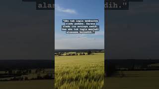 Download lagu rindu#quotes #katakata #quoteoftheday #kata² #fypシ #katacinta #cintaku #love #lovestory #lovely #fyp mp3