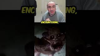 Beautiful Light Gameplay Revealed