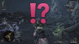 MHワイルズ|浮いてる⁉️