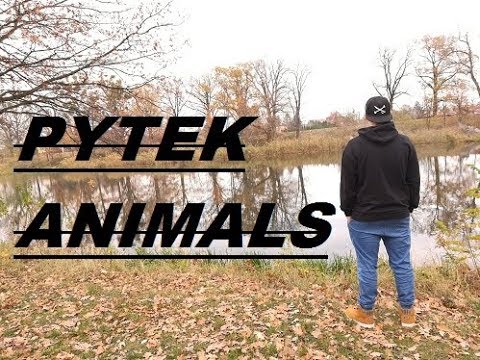 Pytek - "Animals" prod.@Vibe Chemistry [Trapez Mixtape] HD