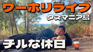 【ワーホリ自由ライフ】オーストラリアのタスマニア島のチルな休日の過ごし方【オタ旅】