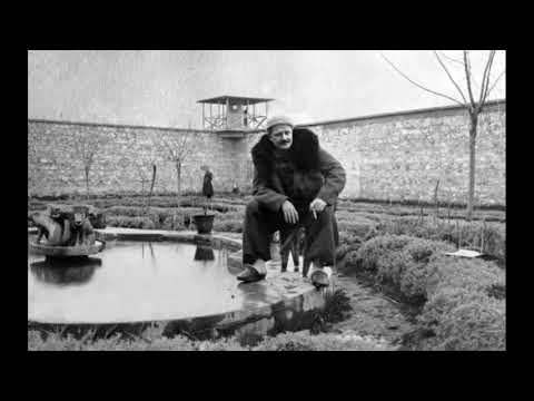 Nazım Hikmet - Akşam Gezintisi