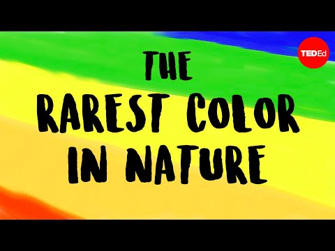 What is the rarest color in nature? - Victoria Hwang