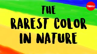 What is the rarest color in nature? - Victoria Hwang
