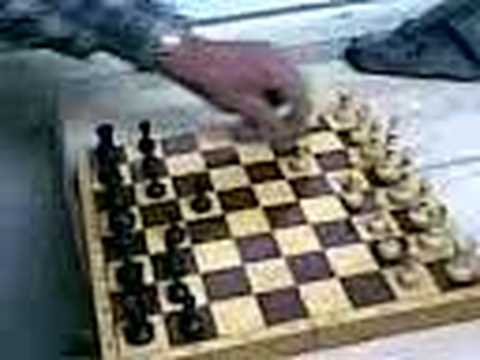 sah mat u dva poteza